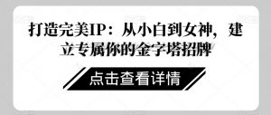 打造完美IP:从小白到女神,建立专属你的金字塔招牌-风淘社