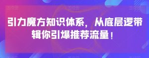 引力魔方知识体系,从底层逻带辑你引爆荐推流量!-风淘社