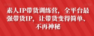 素人IP带货训练营,全平台最强带货IP,让带货变得简单、不再神秘-风淘社