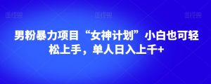 男粉暴力项目“女神计划”小白也可轻松上手,单人日入上千+【揭秘】-风淘社