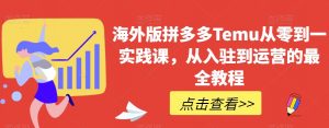 海外版拼多多Temu从零到一实践课,从入驻到运营的最全教程-风淘社