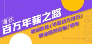 通往百万年薪之路·陪跑训练营:职场外挂/年薪百万技巧/职业规划定制/等等-风淘社