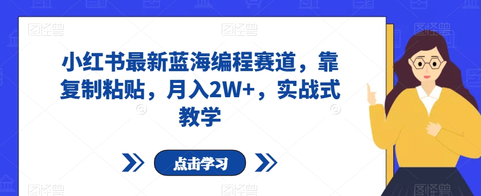 小红书最新蓝海编程赛道,靠复制粘贴,月入2W+,实战式教学【揭秘】-风淘社