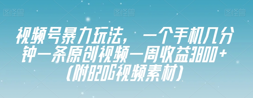 视频号暴力玩法，一个手机几分钟一条原创视频一周收益3800+（附820G视频素材）-风淘社