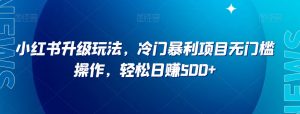 小淘项目专属付款链接-风淘社