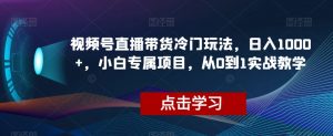 视频号直播带货冷门玩法，日入1000+，小白专属项目，从0到1实战教学【揭秘】-风淘社