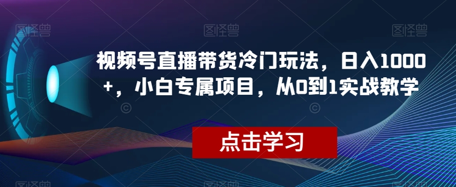 视频号直播带货冷门玩法，日入1000+，小白专属项目，从0到1实战教学【揭秘】-风淘社