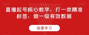 直播起号核心教学,打一类精准标签,做一级有效数据-风淘社