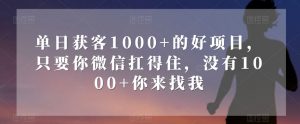 单日获客1000+的好项目，只要你微信扛得住，没有1000+你来找我【揭秘】-风淘社