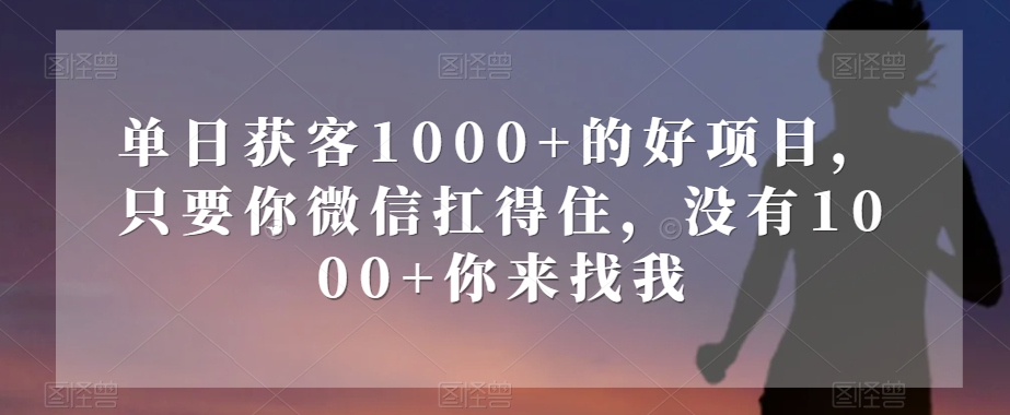 单日获客1000+的好项目，只要你微信扛得住，没有1000+你来找我【揭秘】-风淘社