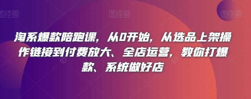 淘系爆款陪跑课，从0开始，从选品上架操作链接到付费放大、全店运营，教你打爆款、系统做好店-风淘社