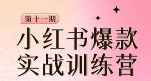 小红书博主爆款训练营第11期,手把手教你从0-1做小红书,从定位到起号到变现-风淘社