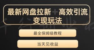 最新最全夸克网盘拉新变现玩法，多种裂变，举一反三变现玩法【揭秘】-风淘社