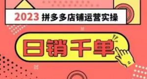 2023拼多多运营实操，每天30分钟日销1000＋，爆款选品技巧大全（10节课）-风淘社