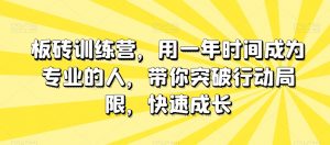 板砖训练营，用一年时间成为专业的人，带你突破行动局限，快速成长-风淘社