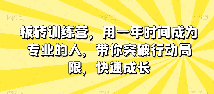 板砖训练营，用一年时间成为专业的人，带你突破行动局限，快速成长-风淘社