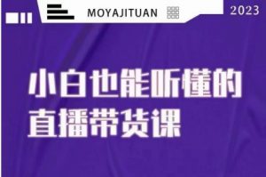 大威本威·能听懂的直播带货课,小白也能听懂,20节完整-风淘社