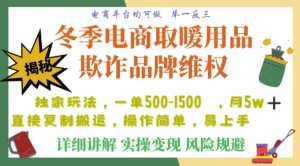 利用电商平台冬季销售取暖用品欺诈行为合理制裁店铺，单日入900+【仅揭秘】-风淘社