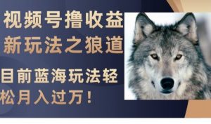 视频号撸收益新玩法之狼道，目前蓝海玩法，轻松月入过万【揭秘】-风淘社