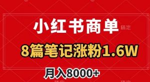 小红书商单最新玩法，8篇笔记涨粉1.6w，作品制作简单，月入8000+【揭秘】-风淘社