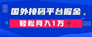 通过国外接码平台掘金:成本1.3,利润10+,轻松月入1万+【揭秘】-风淘社