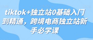 tiktok+独立站0基础入门到精通,跨境电商独立站新手必学课-风淘社