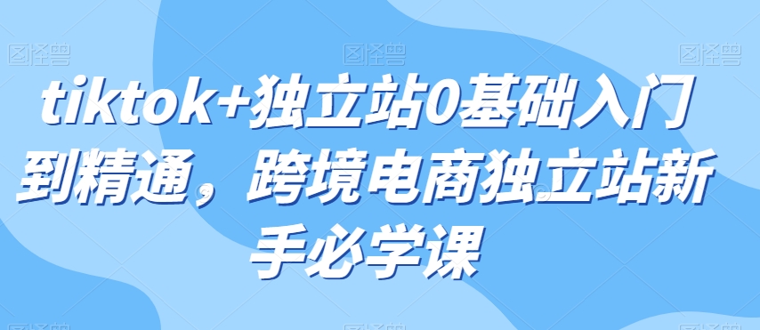 tiktok+独立站0基础入门到精通,跨境电商独立站新手必学课-风淘社