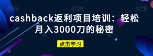 cashback返利项目培训:轻松月入3000刀的秘密-风淘社