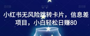 小红书无风险跳转卡片,信息差项目,小白轻松日赚800【揭秘】-风淘社