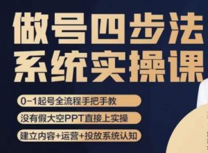 做号四步法,从头梳理做账号的每个环节,0-1起号全流程-风淘社