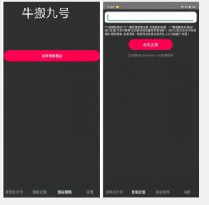 外面价值888的斗音KS最新搬运技术教程-风淘社