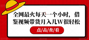 全网最火每天一个小时，借鉴视频带货月入几W很轻松【揭秘】-风淘社
