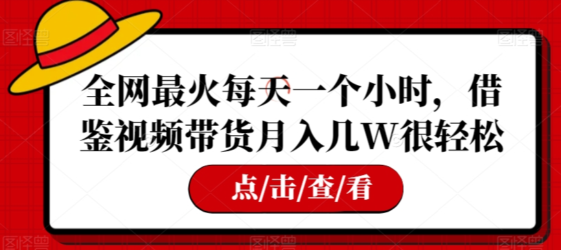 全网最火每天一个小时,借鉴视频带货月入几W很轻松【揭秘】-风淘社