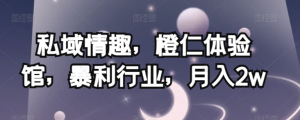 私域情趣,橙仁体验馆,暴利行业,月入2w【揭秘】-风淘社