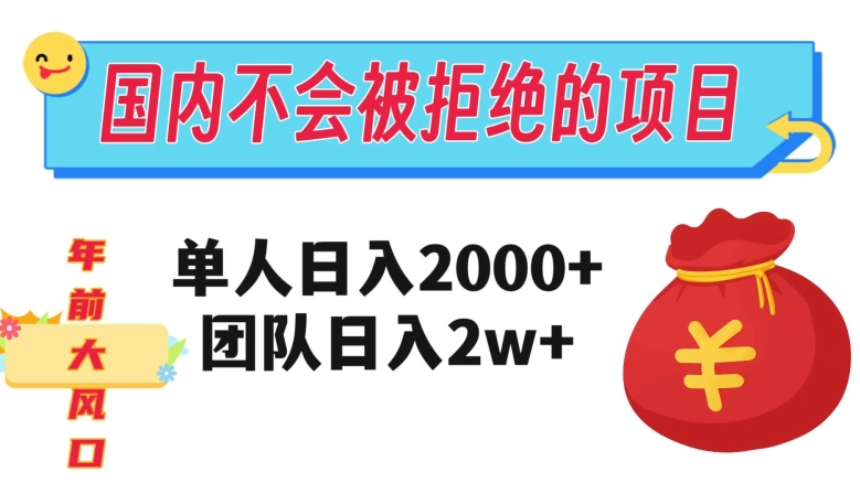 在国内不怕被拒绝的项目，单人日入2000，团队日入20000+【揭秘】-风淘社