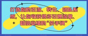 打造你的引流、转化、团队系统,让你收获很多引爆流量、翻倍业绩的“杀手锏”-风淘社
