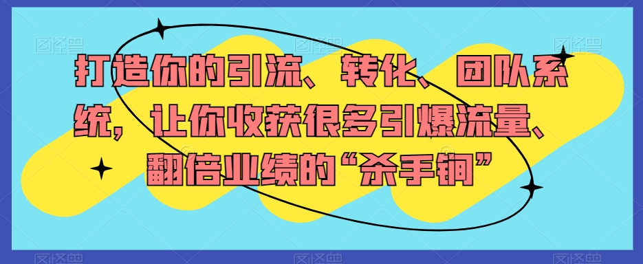 打造你的引流、转化、团队系统,让你收获很多引爆流量、翻倍业绩的“杀手锏”-风淘社