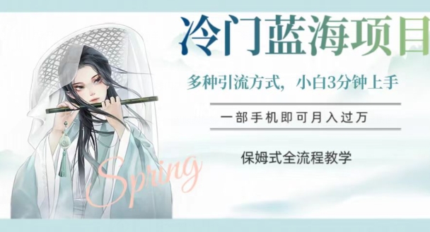 冷门蓝海项目，操作简单，小白3分钟上手，多种引流方式，保姆式全流程教学【揭秘】-风淘社