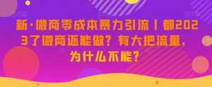 新·微商零成本暴力引流丨都2023了微商还能做?有大把流量,为什么不能?-风淘社