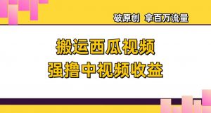 搬运西瓜视频强撸中视频收益,日赚600+破原创,拿百万流量【揭秘】-风淘社