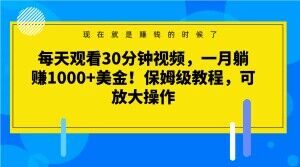 每天观看30分钟视频，一月躺赚1000+美金！保姆级教程，可放大操作【揭秘】-风淘社