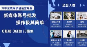 新媒体账号批发,操作极其简单,0基础0经验门槛低【揭秘】-风淘社