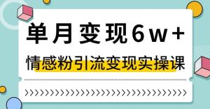 单月变现6W+，抖音情感粉引流变现实操课，小白可做，轻松上手，独家赛道【揭秘】-风淘社