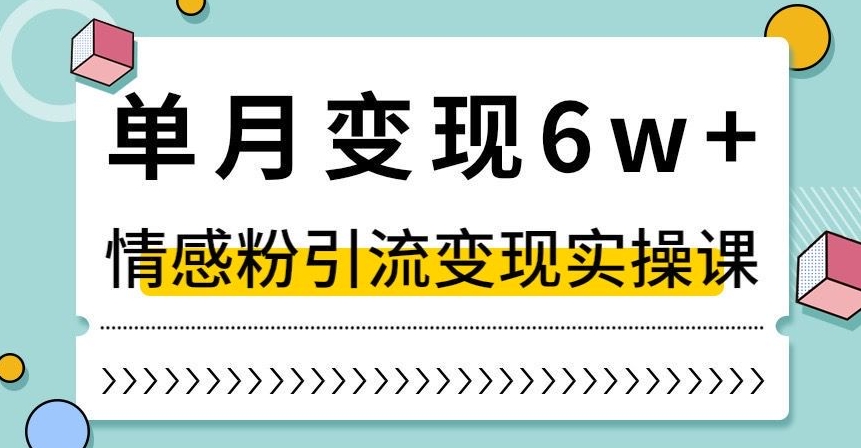 单月变现6W+，抖音情感粉引流变现实操课，小白可做，轻松上手，独家赛道【揭秘】-风淘社