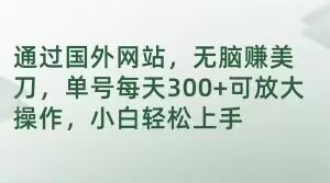 通过国外网站,无脑赚美刀,单号每天300+可放大操作,小白轻松上手【揭秘】-风淘社