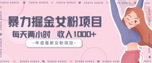 年底暴力女粉掘金项目5天变现1.5W+【揭秘】-风淘社