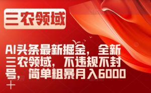 AI头条最新掘金，全新三农领域，不违规不封号，简单粗暴月入6000＋【揭秘】-风淘社