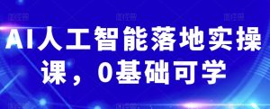 AI人工智能落地实操课,0基础可学-风淘社
