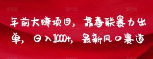 年前大赚项目,靠春联暴力出单,日入1000+,最新风口赛道【揭秘】-风淘社