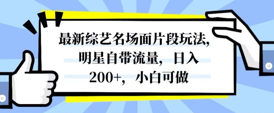 最新综艺名场面片段玩法，明星自带流量，日入200+，小白可做【揭秘】-风淘社